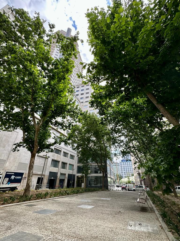 WhatsApp Image 2023-05-19 at 13.10.38 1.jpeg